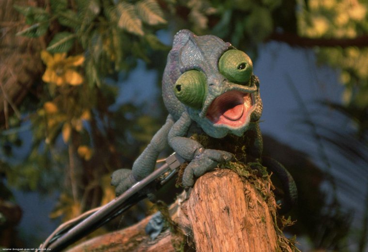 Смешные пресмыкающиеся