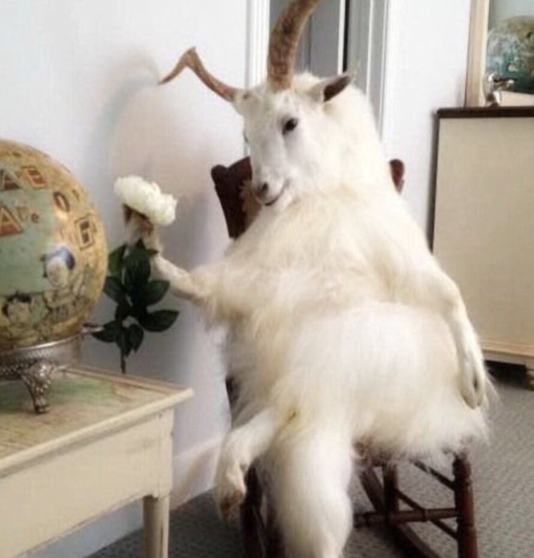 Смешной козлик