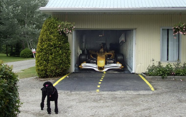 Креативные гаражные ворота