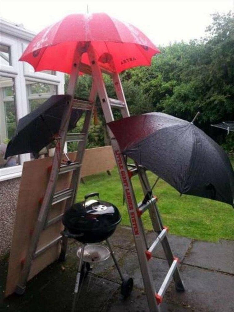 Шутки про пикник