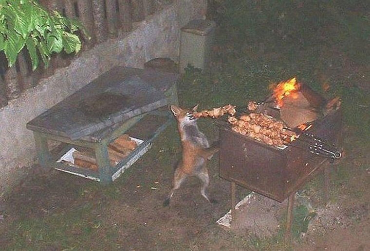 Девушка с шашлыком