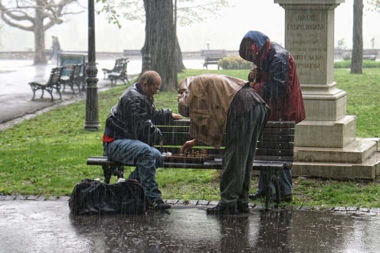 Под дождем прикол