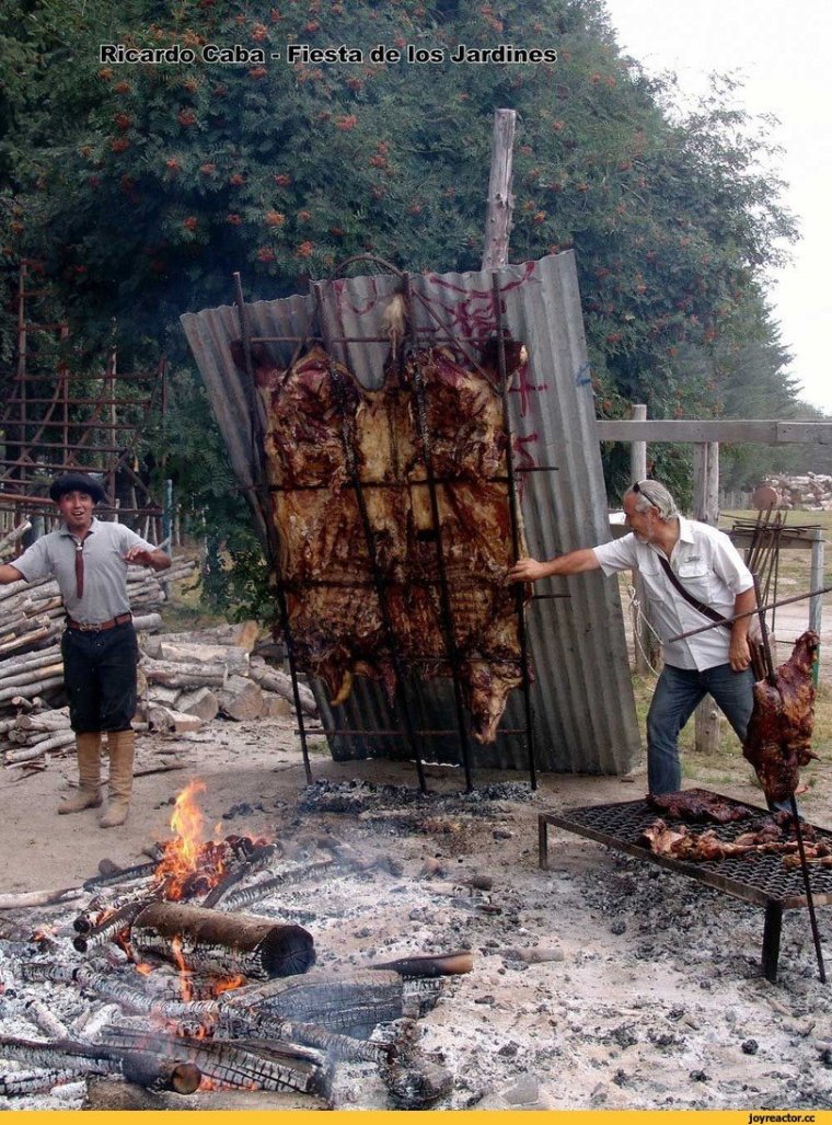 Таня на шашлыках прикол