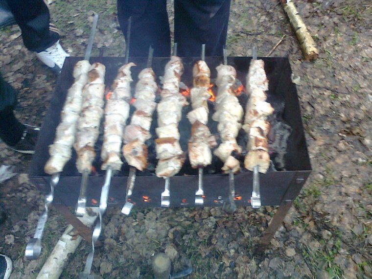 Котик с шашлыком