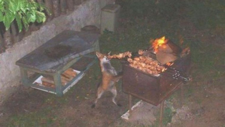 Мужчина с пивом на пляже