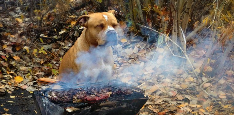 Пикник в дождь