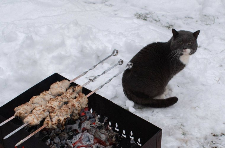 Шашлык под дождем