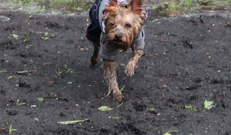 Приколы про отдых на природе