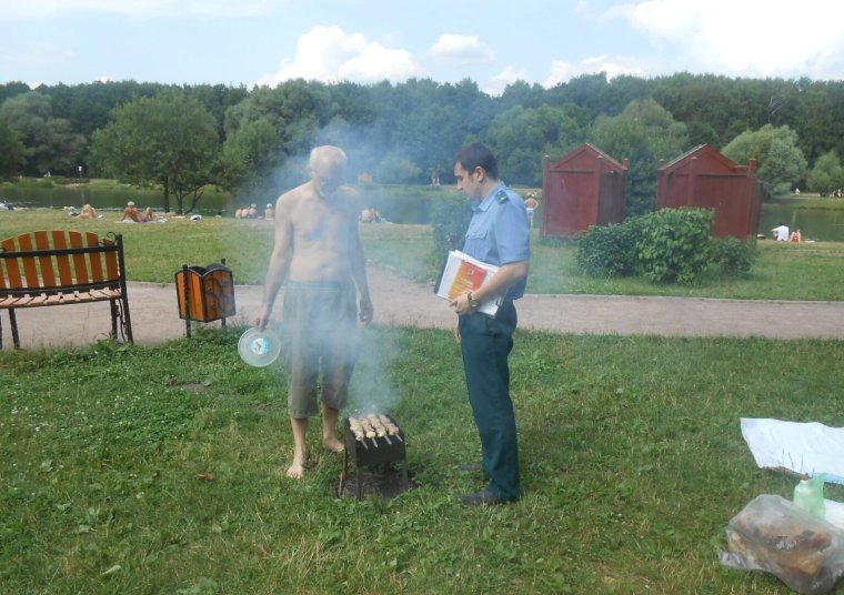 Кот в мангале