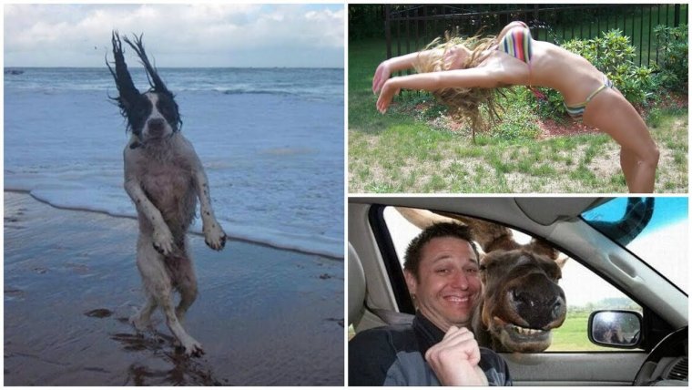 Ржачные картинки до слез