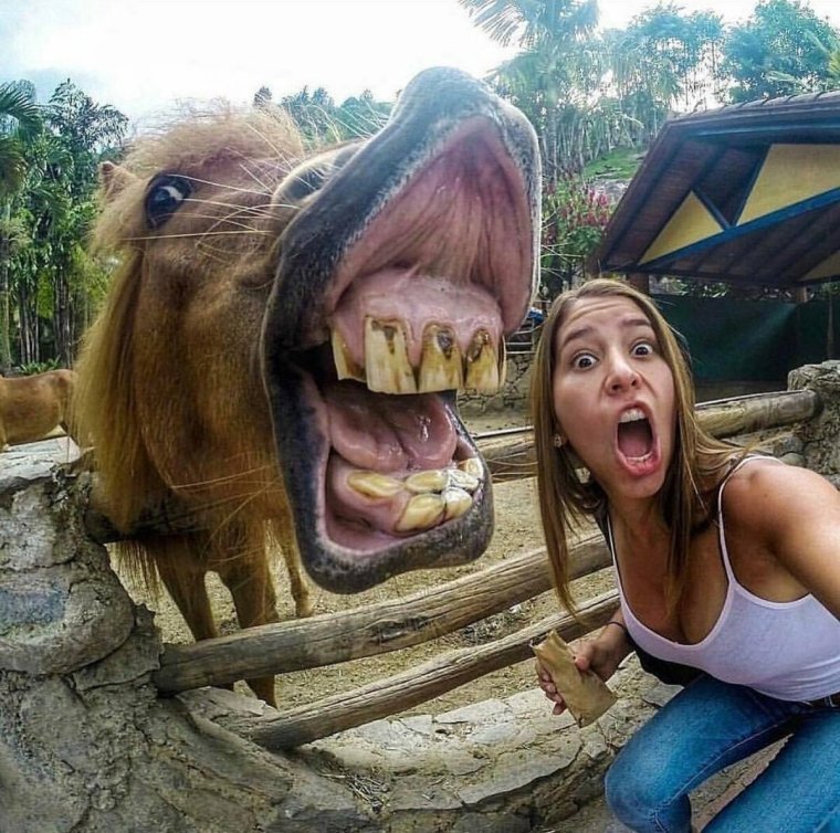 Смешные селфи