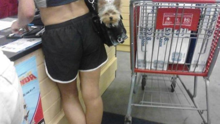 Ржачные картинки 18 + ржач