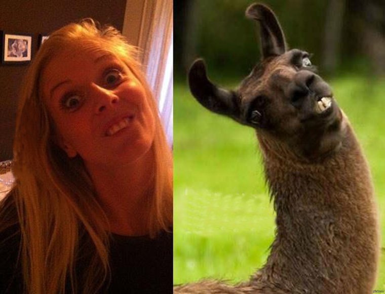 Прикольные смешные короткие ролики