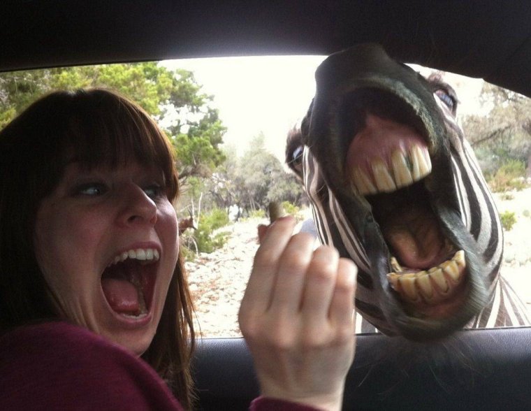 Смешные ржаки