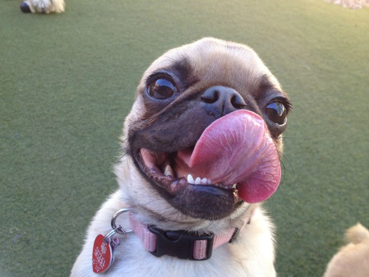 Очень смешно