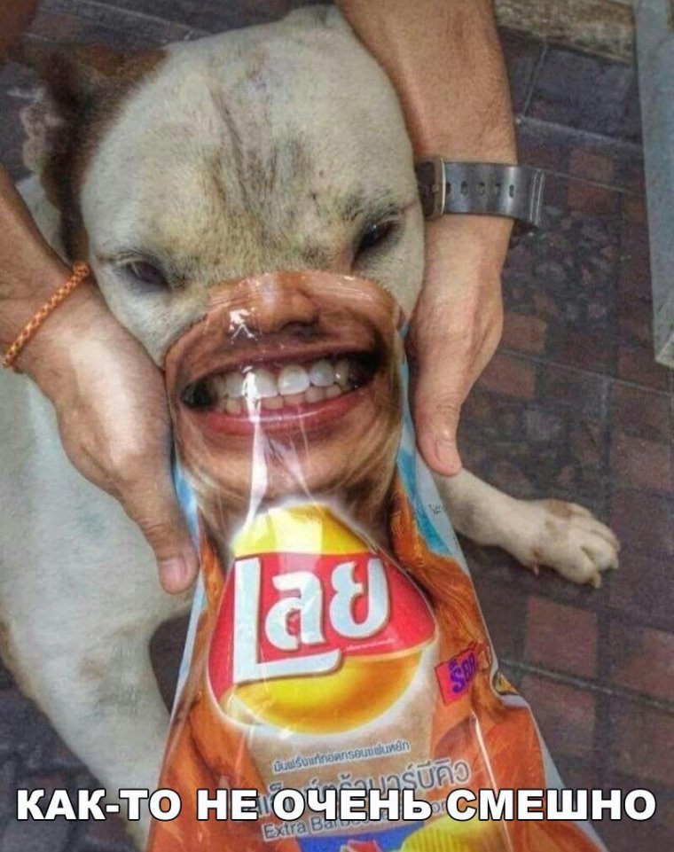 Очень смешные приколы