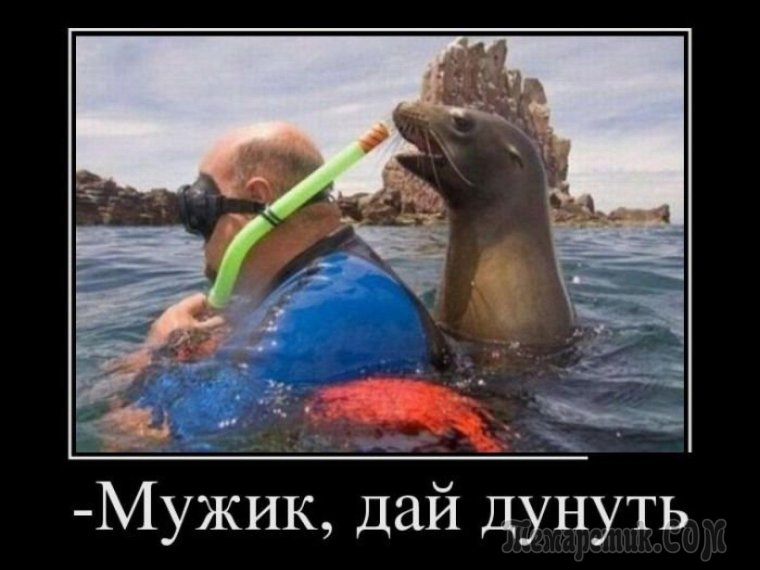 Очень смешные фотографии