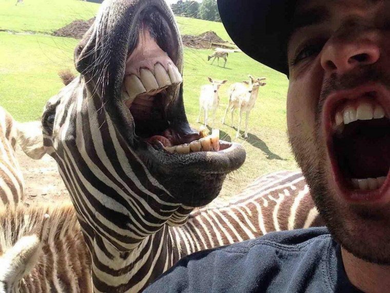 Просто ржач необычно