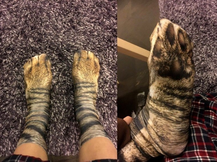 Носки демотиватор