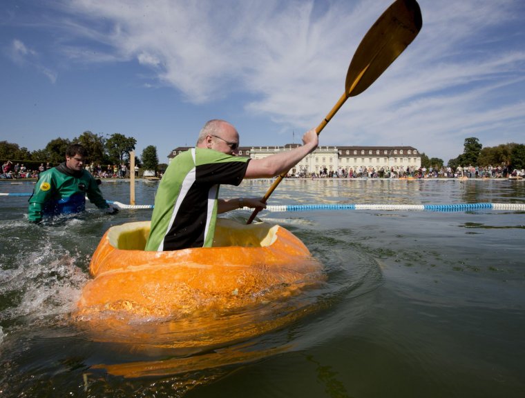 Приколы про байдарочников