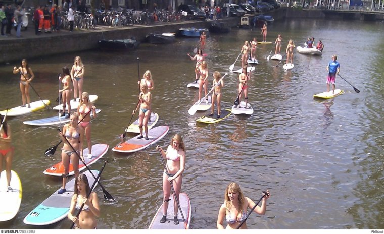 Весло прикол