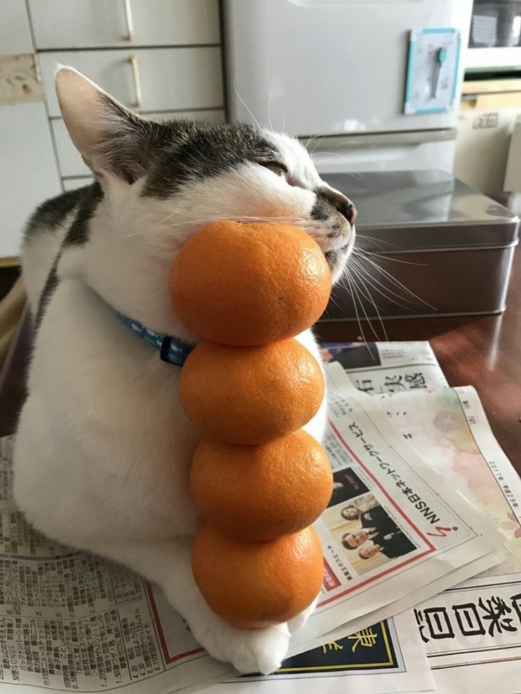 36 Картинки прикольные