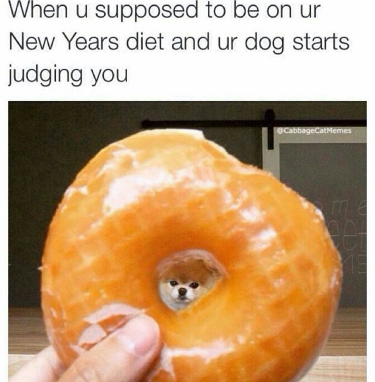 Ты дырка от бублика