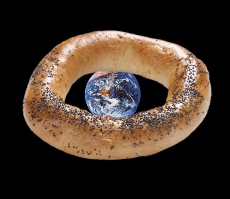 День дырок от бублика