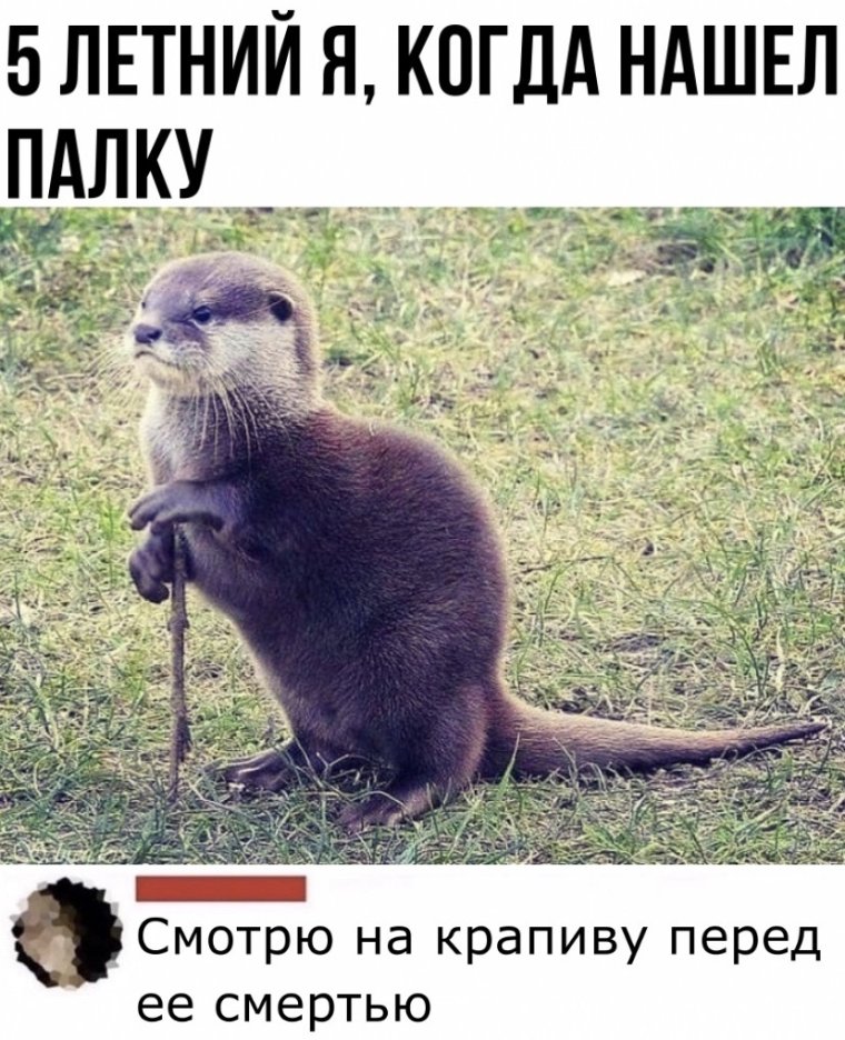 Агрессивный звереныш Мем