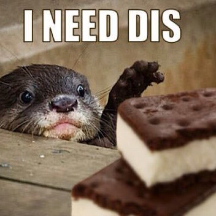 Выдра Арбуз