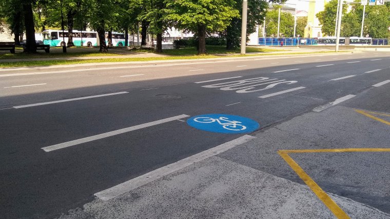 Пешеходная Зебра