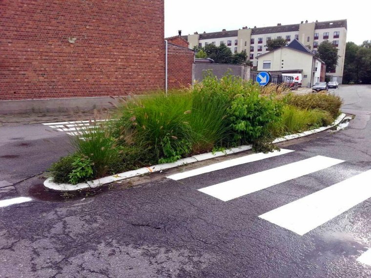 Дорожная разметка курьезы