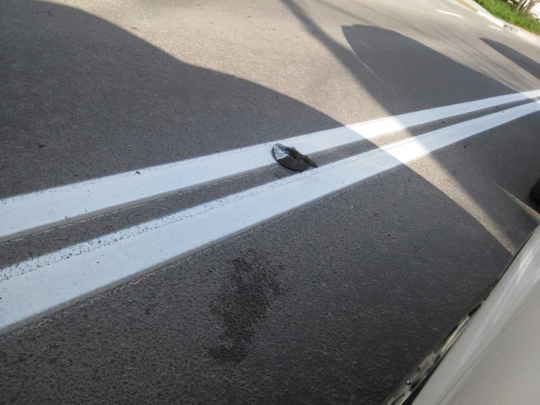 Курьезные разметки дорог