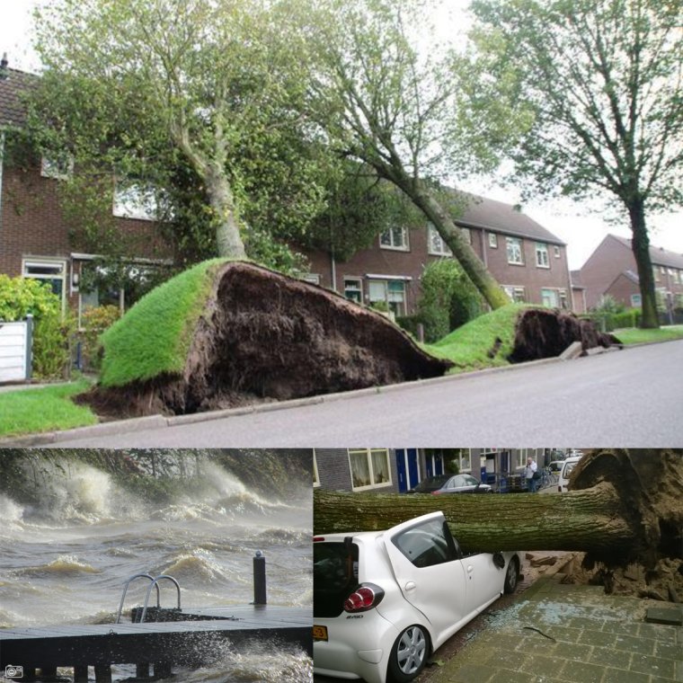 Приколы про ураганный ветер