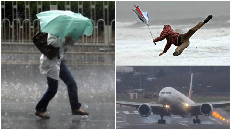 Сильный ветер смешное