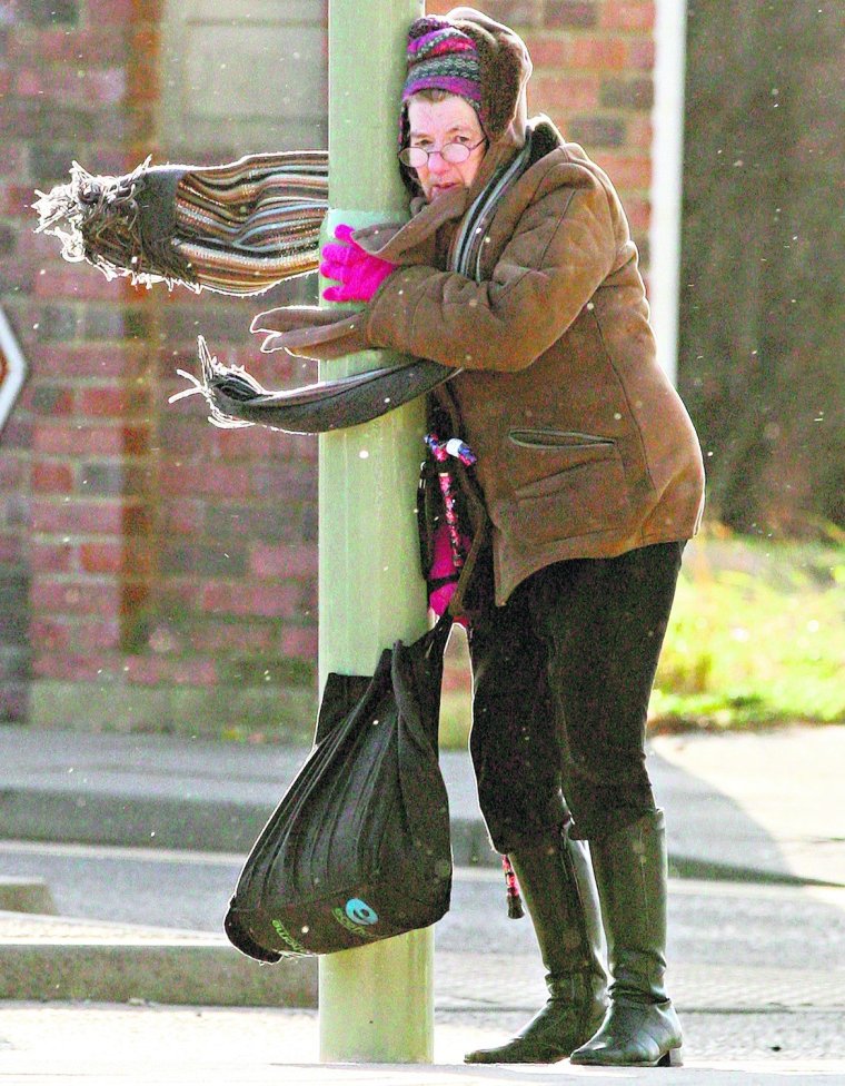 Сильный ветер прикольные