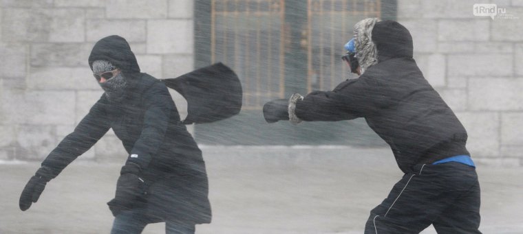 Ветер волосы юмор