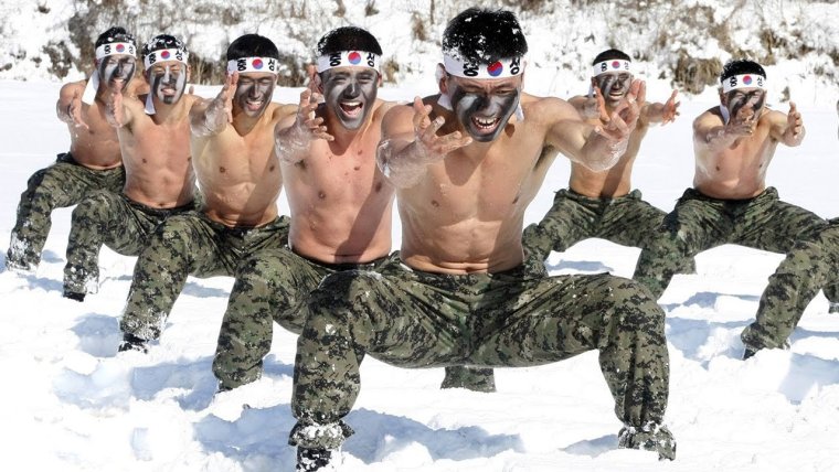 Кот спецназовец