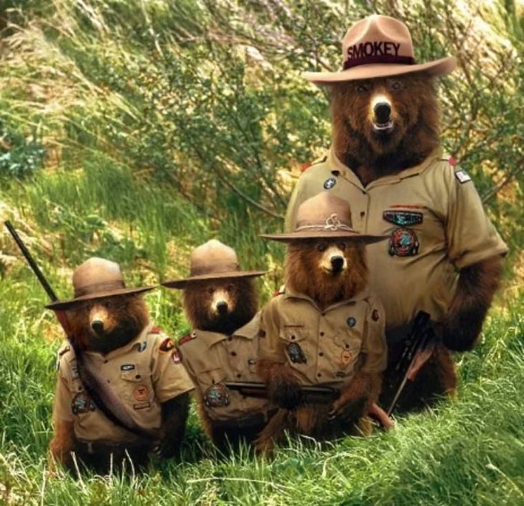 Животные в военной форме