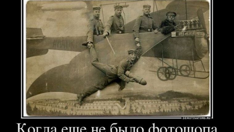 Ты каштанка насекомое существо и больше ничего