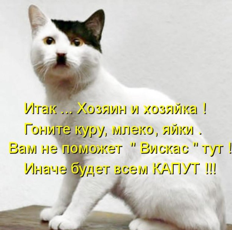 Демотиваторы про вторник