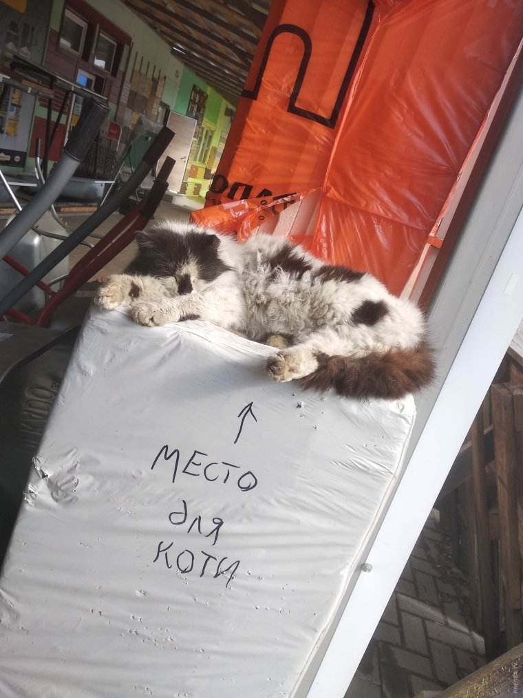 Ненавижу Понедельники