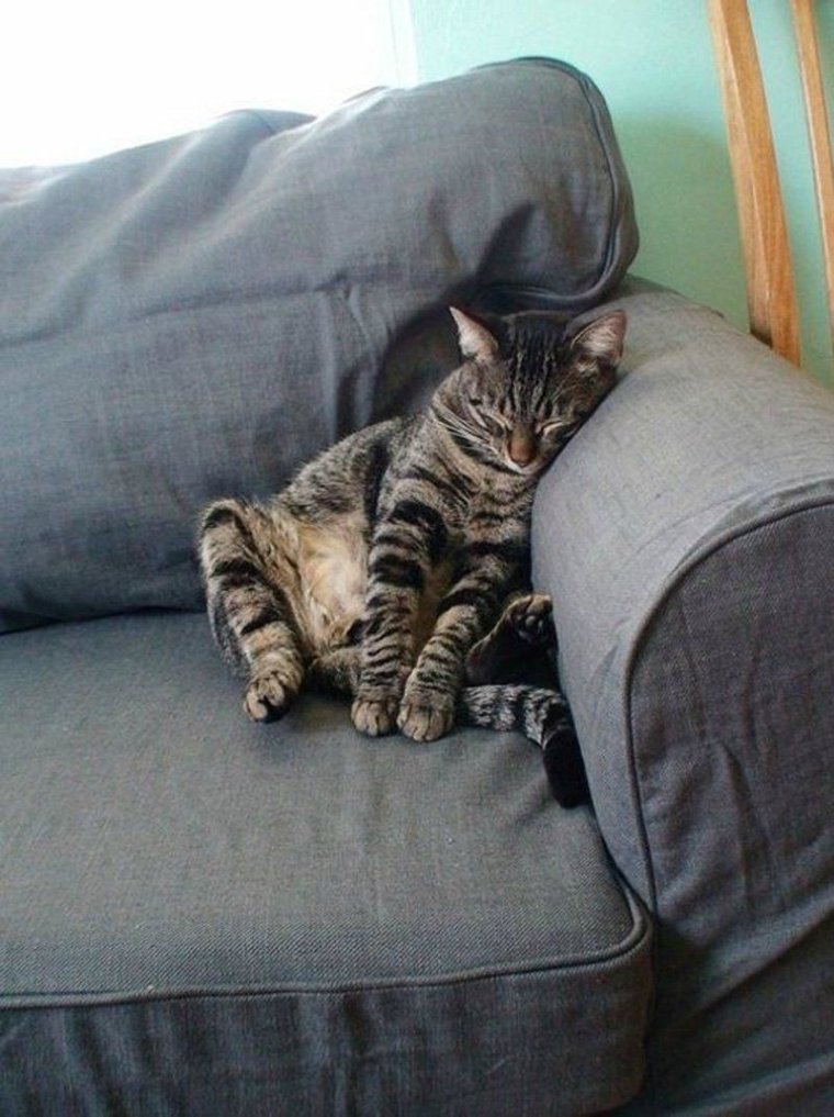 Ненавижу Понедельники