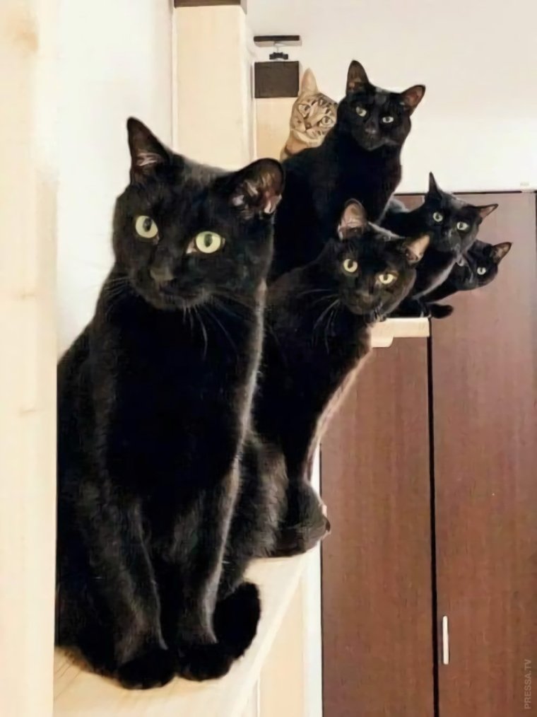 Картинки про вторник смешные с надписями