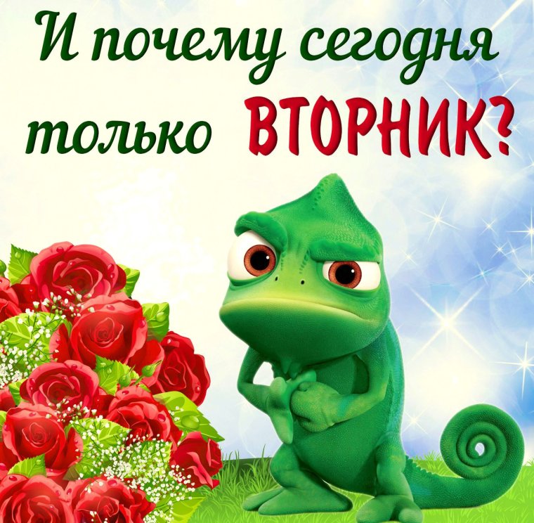 Уставший Мопс