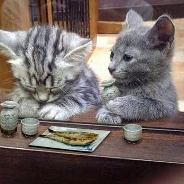 Ура наконец-то выходные