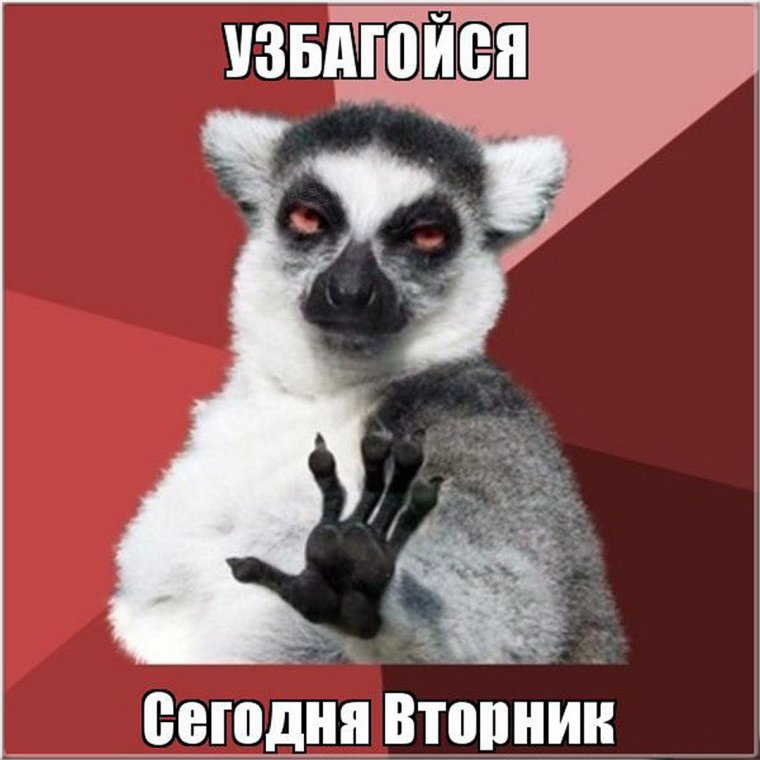 Афоризмы про вторник