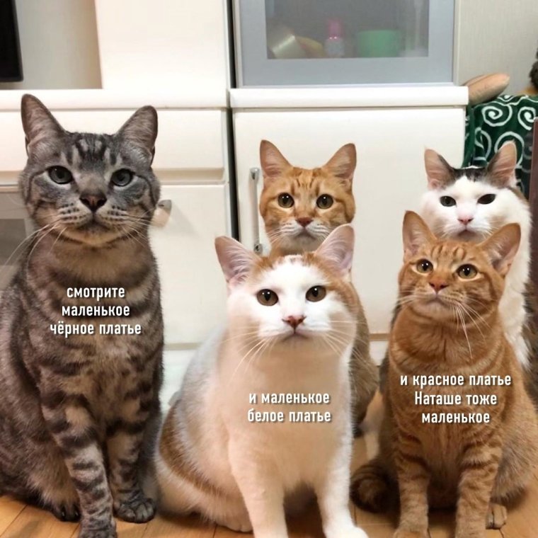 С добрым утром вторника