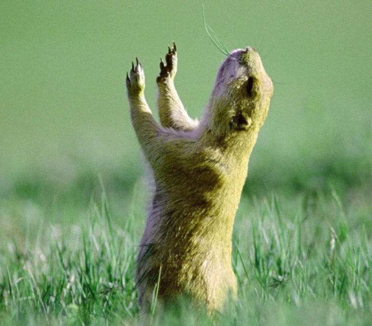 Демотиваторы для поднятия настроения