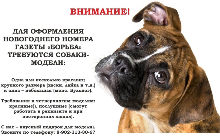 Доброе утро вторника мартышка